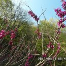 달전경로당 이미지