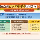 화천군농업기술센터 | 🌾 2026년 화천군 농업 보조사업 총정리