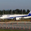 787 in ANA livery photo [unofficial] 이미지