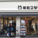 못된고양이 이미지