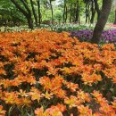 서울숲유아숲체험장 네이버블로그