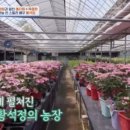 황해농장 이미지