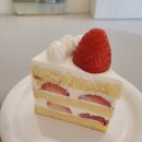 미스 옐로우씨 이미지