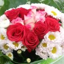 가고파플라워 이미지