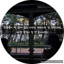 부산시티투어(협) | [부산] 당일치기 일정 추천 | 시티투어 해변열차 이용 후기