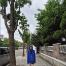 고현정 근황 이미지