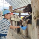 서율농장 이미지