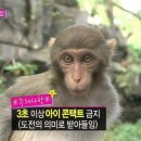 종로사약국 | 마 연극 보고 왔다