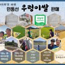 법인강화밝은마을