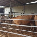 모야농장 이미지