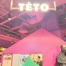 타올백화점 | 잠실 롯데백화점 테토 Teto 수건 매장 후기 연예인 수건 홈웨어 크리스마스 선물 제격이네