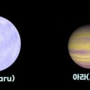 마루아라 이미지