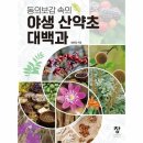 산약초 동의보감 이미지