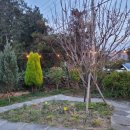 스테이장유7 이미지