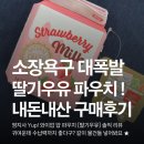 빈티지우유 | 와이업 얍 파우치 - 딸기우유] 구매 후기 ✿ܓ (내돈내산/솔직리뷰/제품후기/감성템/소확행/딸기우유파우치)