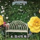 켓로스텔링-반려견과의 하루 이미지