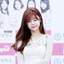 개예쁘다 이미지