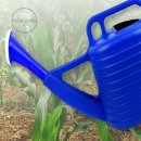 솔라그라티아 이미지