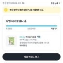 지에스25연희해드림 | GS25 플레이브 콜라보 — 앱 예약 꿀팁 &amp; 띠부씰 후기 (Plave 하민이의 멜론크림 쫀득빵, 밤비의 복숭아...