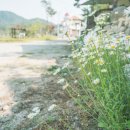 구룡파출소 화장실 이미지