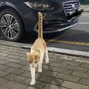 어이 호찌씨 이렇게 포스팅 자주 하면 파워블로거밖에 못해요