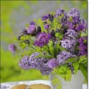 꽃과커피 이미지