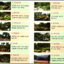 석모도수목원 Daum카페