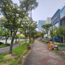 패션의거리 이미지