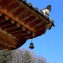 서일목장 이미지