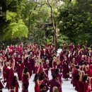 명상으로 치유하는 삶 이미지