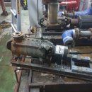 분당프라자 이미지