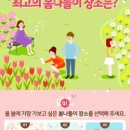 신도리코안 이미지