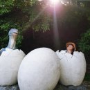 보성아라낙지 이미지