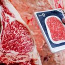 고기백과 이미지