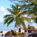 현대 카 센타 | 사이판 아시아 렌터카 가격 예약 할인 후기 교통꿀팁 총정리