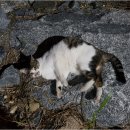 동네농장 이미지