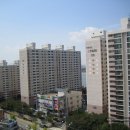 하단동1161 이미지