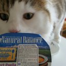 여의도 동물병원 은하점 이미지