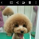 중앙미용학원 이미지