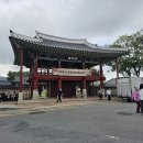 하얀집 | 전남 나주 ‘나주곰탕하얀집’ 방문 후기, 고기가 넉넉히 들어간 맛있는 곰탕