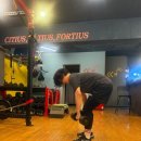 FIT360° | 연남동개인PT전문 핏360 등록 후기