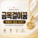 금목걸이꿈 재물운 놀라운 해석