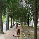 국제의료기 - 성남시 분당구 돌마로 80 | 일본취업) 일본 집으로 택배를 보내보자 (우체국 국제소포🏣)