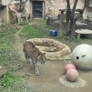 봉방7호 어린이공원 | 아이와 가볼만한곳 서울어린이대공원 동물원 무료입장, 주차, 꿀팁 방문후기 추천