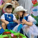 🌈레인보우가든-일일초를 심어요🌈 이미지