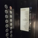 더그레이스경희 인더시티 | 대전 뷔페 추천 롯데시티호텔 씨카페 런치 가격, 예약, 명당 자리 꿀팁