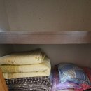 옥류천이야기길(소나무숲길) | 울진 여행 추천 숙소 소광리 금강송펜션 후기 이지롱