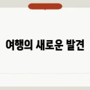 여행과 여가, 네이버 블로그로 떠나는 새로운 스토리
