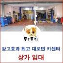 유동카센타