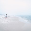 강서운전면허시험장 이미지